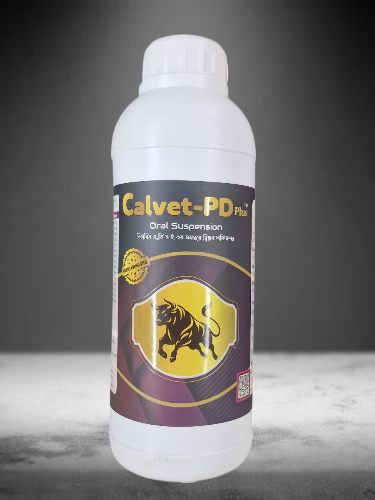 Image hover effect image