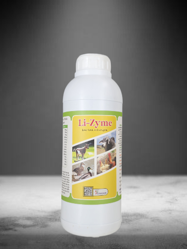 Image hover effect image